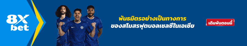 แบนเนอร์โปรโมท